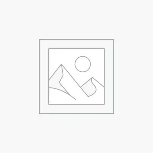 WordPress Website Design
